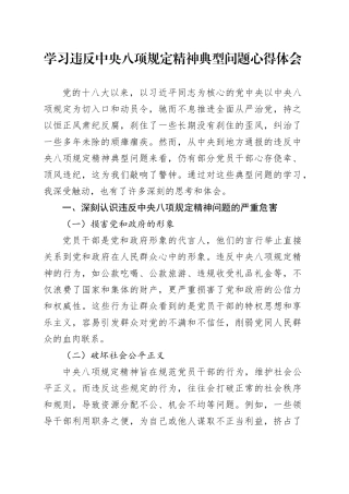 学习违反中央八项规定精神典型问题心得体会