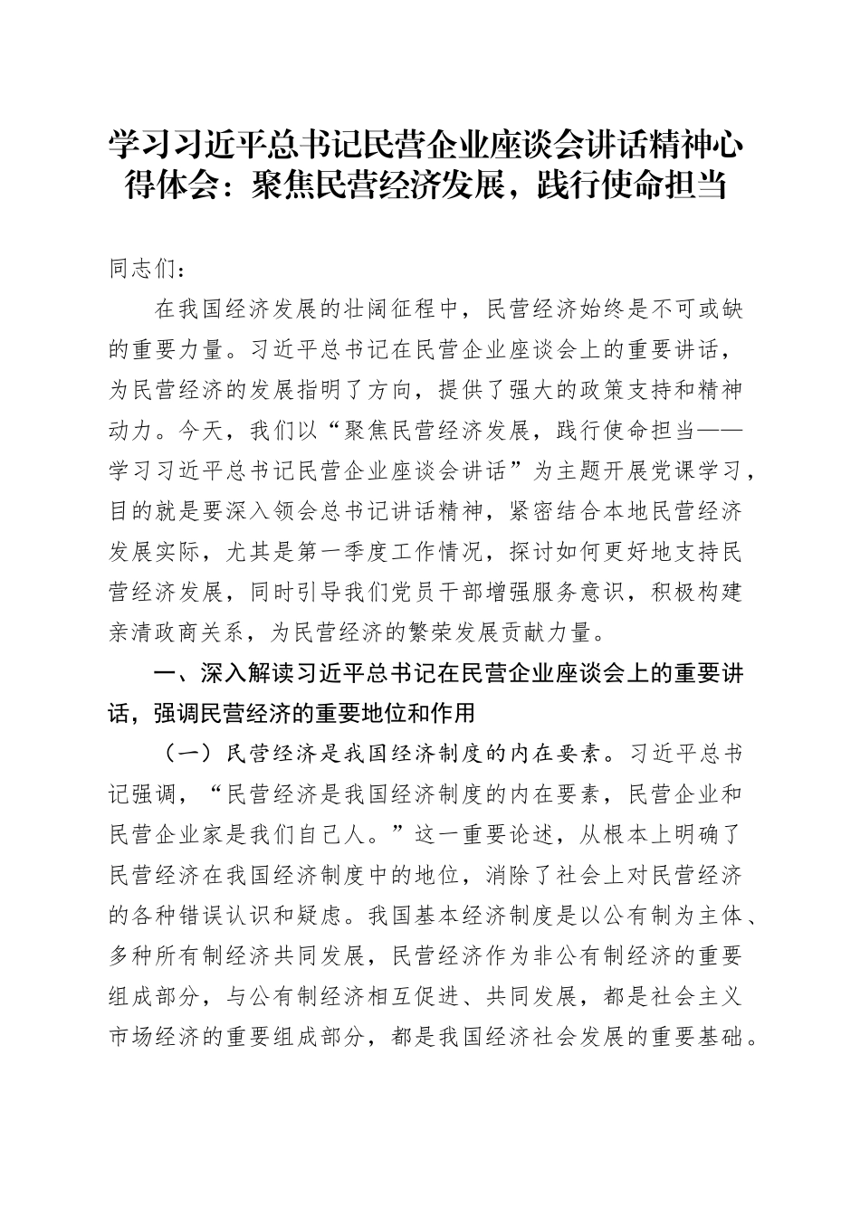 学习总书记民营企业座谈会讲话精神心得体会：聚焦民营经济发展，践行使命担当_第1页