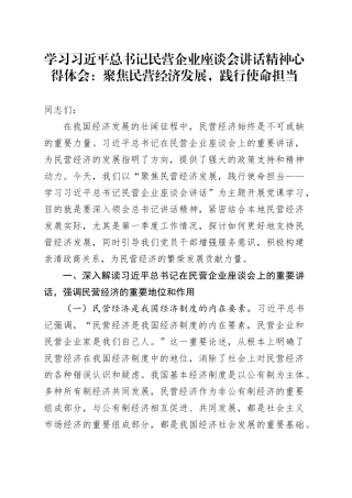 学习总书记民营企业座谈会讲话精神心得体会：聚焦民营经济发展，践行使命担当
