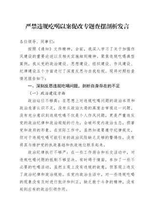 严禁违规吃喝以案促改专题查摆剖析发言
