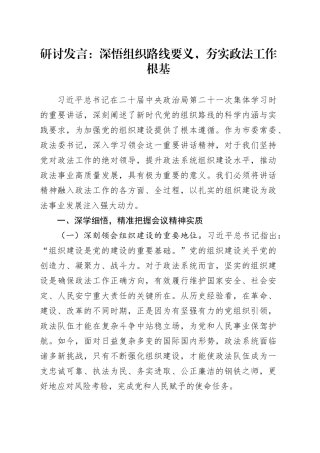 研讨发言：深悟组织路线要义，夯实政法工作根基