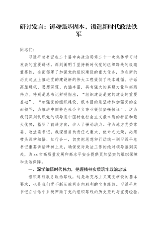 研讨发言：铸魂强基固本，锻造新时代政法铁军