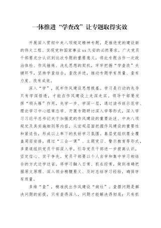 一体推进“学查改”让专题取得实效