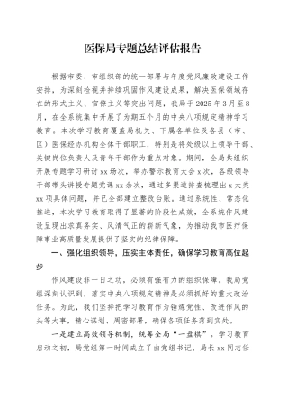 医保局专题总结评估报告