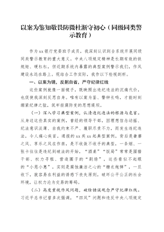以案为鉴知敬畏防微杜渐守初心（同级同类警示教育）（1）