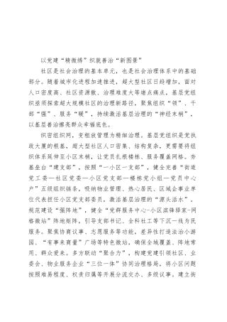 以党建“精微绣”织就善治“新图景”