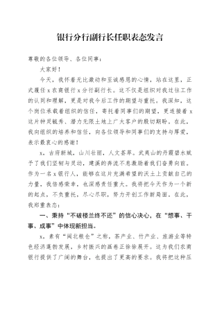 银行分行副行长任职表态发言