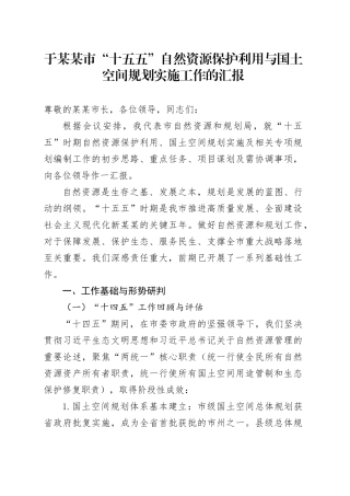 于某某市“十五五”自然资源保护利用与国土空间规划实施工作的汇报