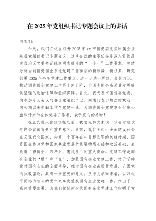 在2025年党组织书记专题会议上的讲话