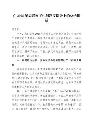 在2025年局巡察工作问题反馈会上的总结讲话