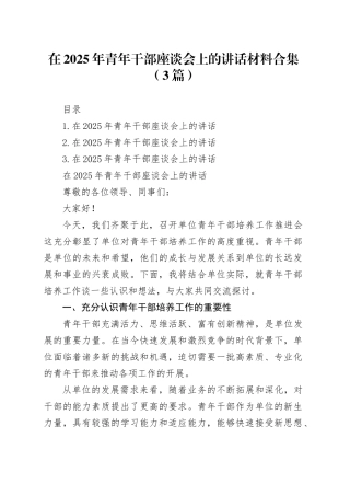 在2025年青年干部座谈会上的讲话材料合集（3篇）