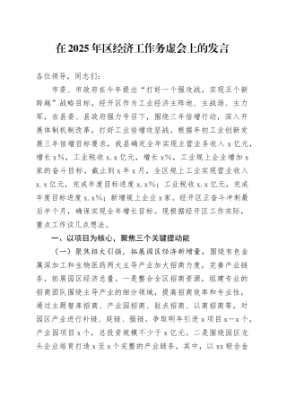 在2025年区经济工作务虚会上的发言