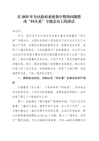 在2025年全区政府系统集中整治问题整改“回头看”专题会议上的讲话