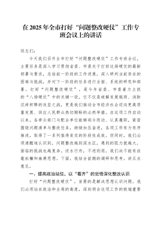 在2025年全市打好“问题整改硬仗”工作专班会议上的讲话