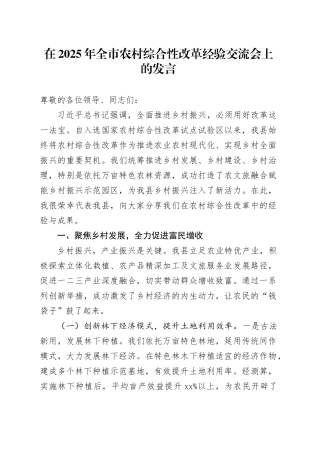 在2025年全市农村综合性改革经验交流会上的发言
