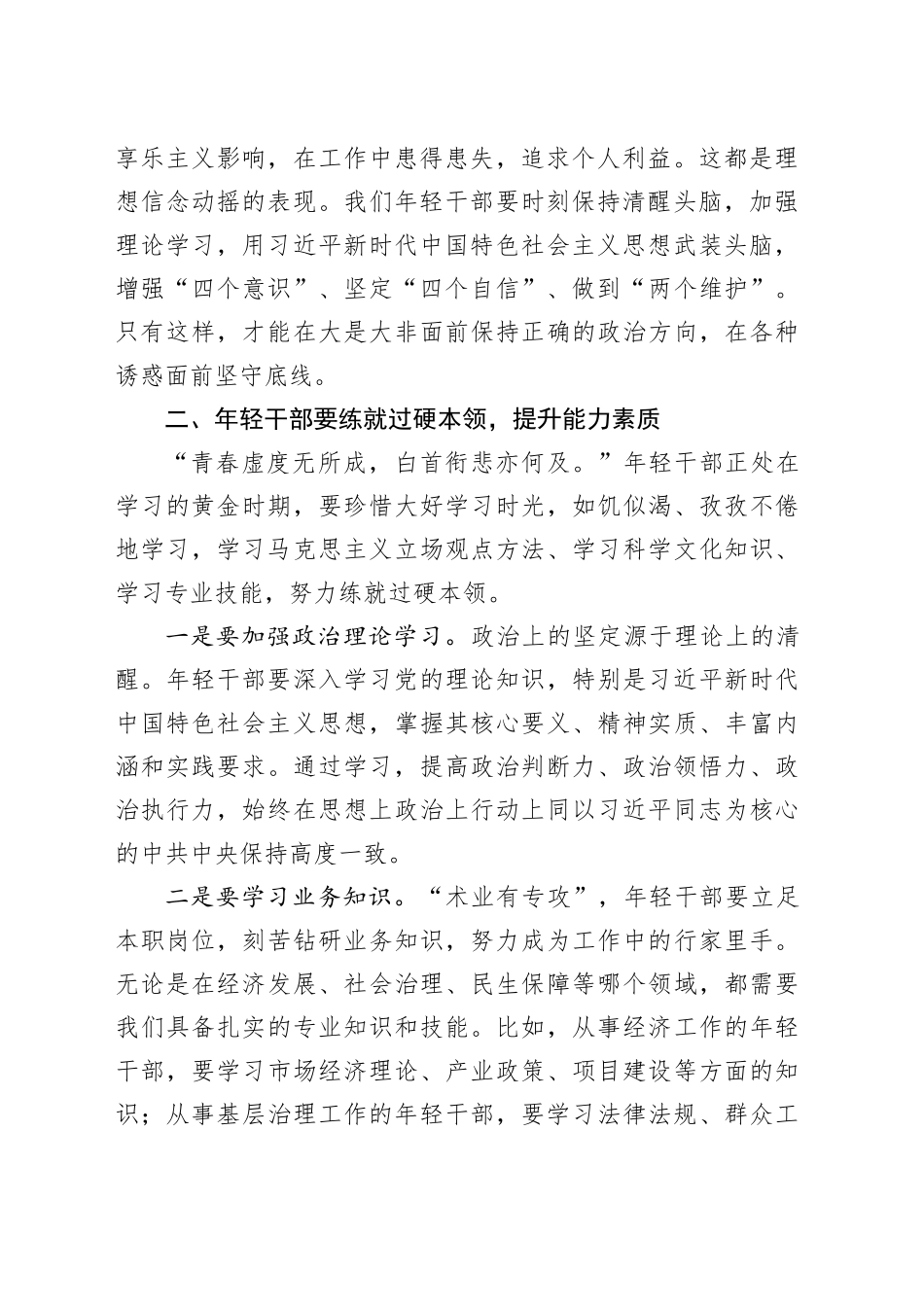 在2025年全县年轻干部座谈会上的讲话_第2页