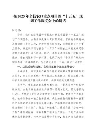 在2025年全县农口重点项目暨“十五五”规划工作调度会上的讲话