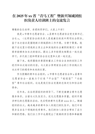在2025年省“青马工程”暨新兴领域团组织负责人培训班上的交流发言