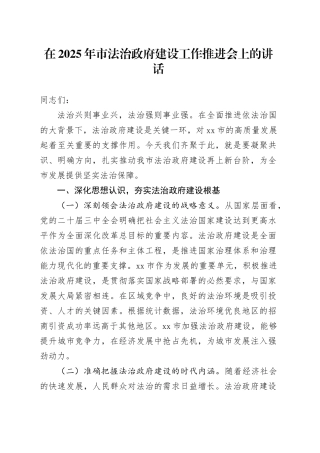 在2025年市法治政府建设工作推进会上的讲话（1）