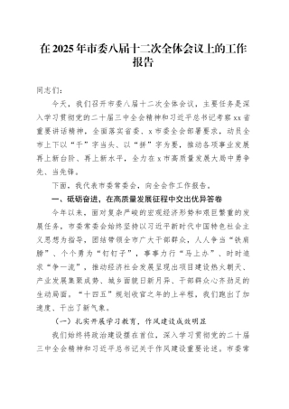 在2025年市委八届十二次全体会议上的工作报告
