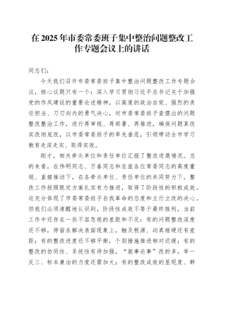 在2025年市委常委班子集中整治问题整改工作专题会议上的讲话