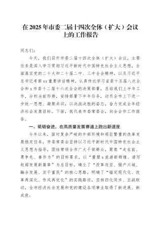 在2025年市委二届十四次全体（扩大）会议上的工作报告