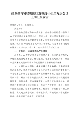 在2025年市委巡察工作领导小组第九次会议上的汇报发言