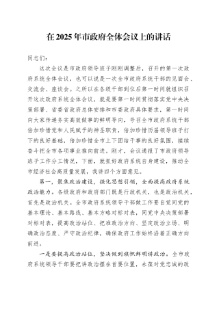 在2025年市政府全体会议上的讲话