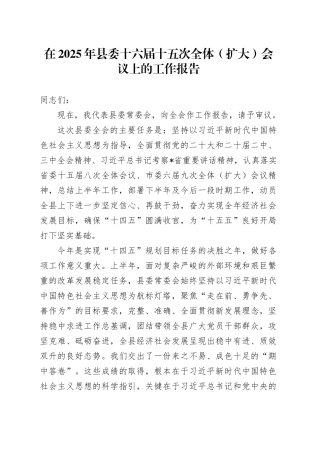 在2025年县委十六届十五次全体（扩大）会议上的工作报告
