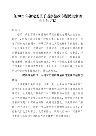 在2025年镇党委班子巡察整改专题民主生活会上的讲话