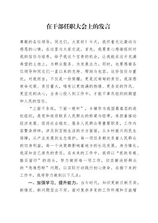 在干部任职大会上的发言