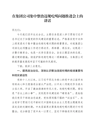在集团公司集中整治违规吃喝问题推进会上的讲话20250812