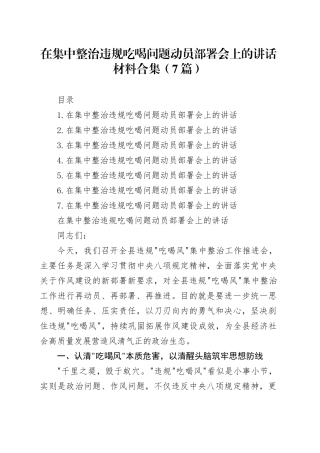 在集中整治违规吃喝问题动员部署会上的讲话材料合集（7篇）
