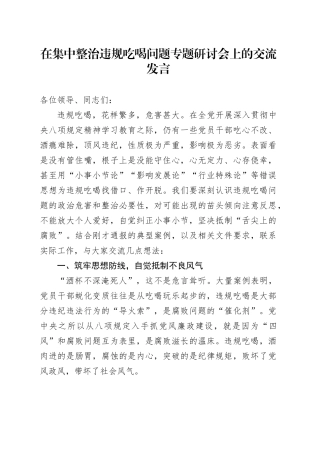 在集中整治违规吃喝问题专题研讨会上的交流发言
