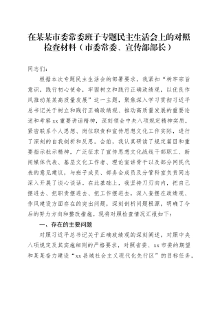 在某某市委常委班子专题民主生活会上的对照检查材料（市委常委、宣传部部长）