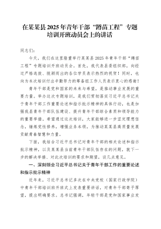 在某某县2025年青年干部“蹲苗工程”专题培训开班动员会上的讲话