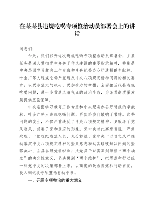 在某某县违规吃喝专项整治动员部署会上的讲话