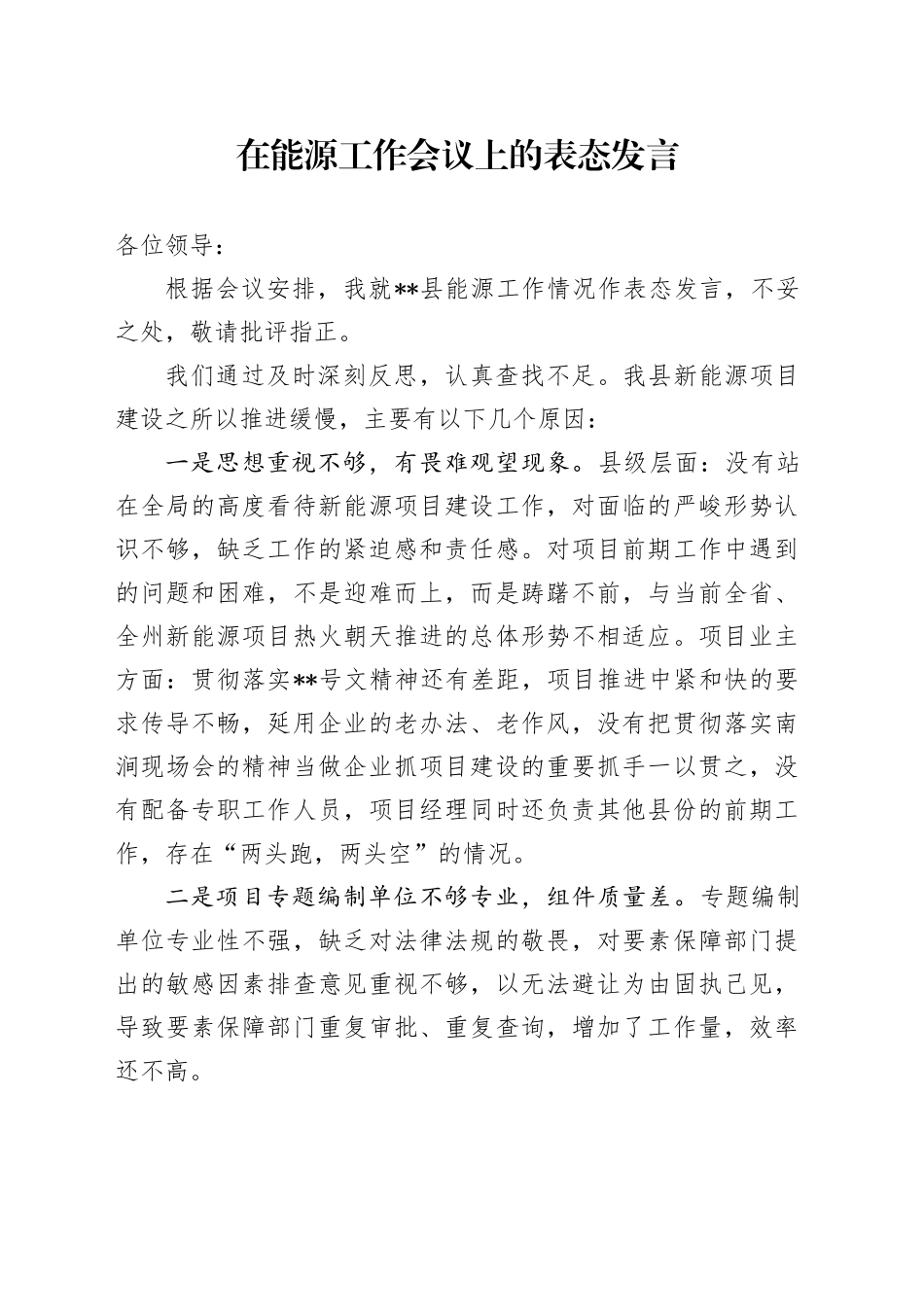 在能源工作会议上的表态发言_第1页