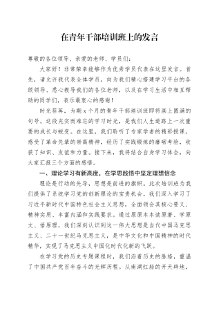 在青年干部培训班上的发言