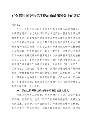 在全省违规吃喝专项整治动员部署会上的讲话