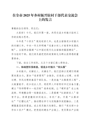 在全市2025年乡村振兴驻村干部代表交流会上的发言