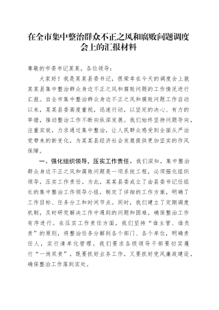 在全市集中整治群众不正之风和腐败问题调度会上的汇报材料