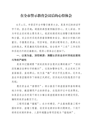 在全市警示教育会议后的心得体会