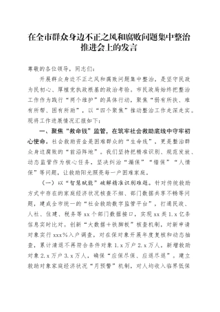 在全市群众身边不正之风和腐败问题集中整治推进会上的发言
