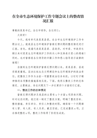 在全市生态环境保护工作专题会议上的整改情况汇报