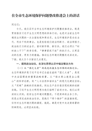 在全市生态环境保护问题整改推进会上的讲话