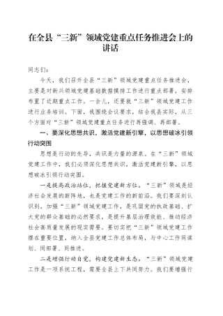 在全县“三新”领域党建重点任务推进会上的讲话