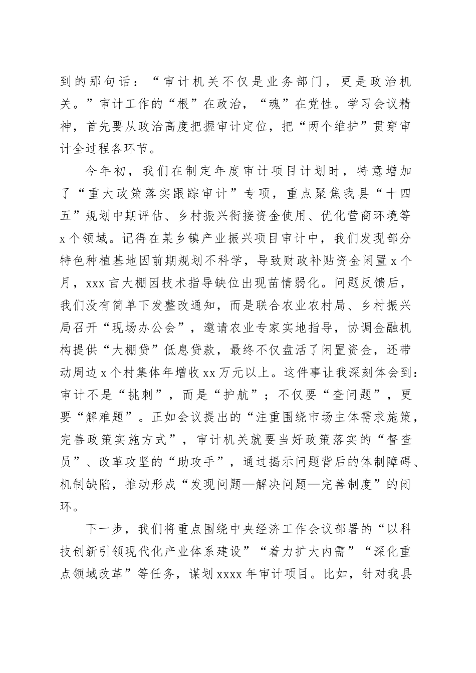 在全县审计系统学习贯彻中央经济工作会议精神专题交流会上的发言_第2页