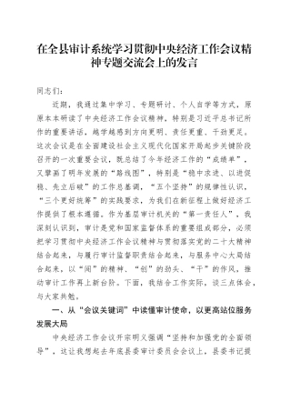 在全县审计系统学习贯彻中央经济工作会议精神专题交流会上的发言