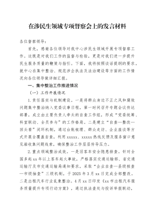 在涉民生领域专项督察会上的发言材料